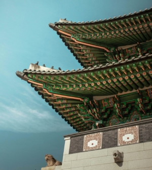 Edge of Gyeongbokgung palace