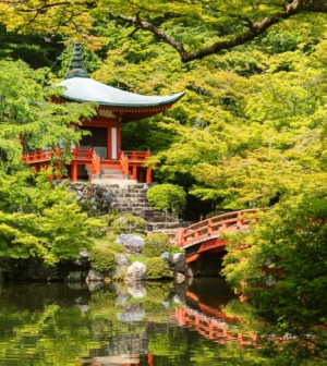 Red temple in Japan on a pond with a bridge.