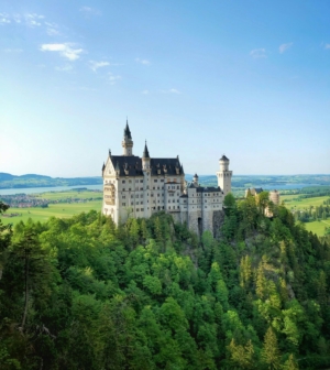 Castle on a hill surrounded by forests