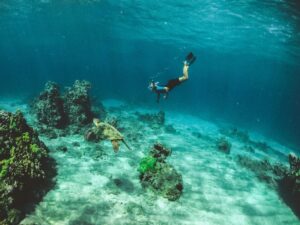 Photo of a woman snorkeling with a turtle