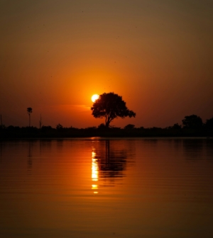 Sunset in Botswana delta
