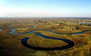 Aerial shot of the Okavango River