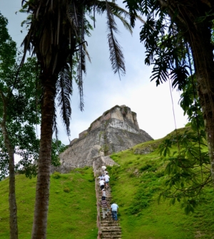Visitors climb a steep stone staircase up a lush, grass-covered ancient Mayan pyramid surrounded by palm trees and tropical vegetation, Xunantunich archaeological site, Belize.